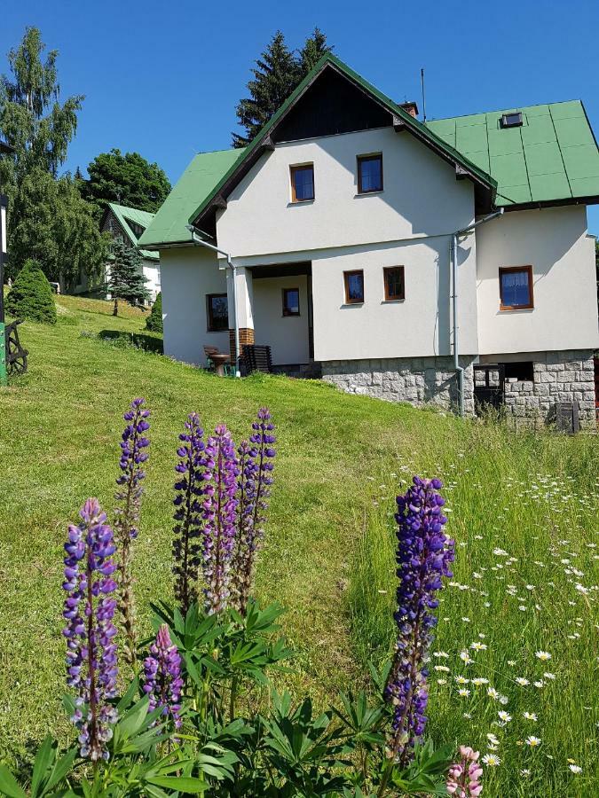 U Kobru Apartment Špindlerŭv Mlýn Exterior foto